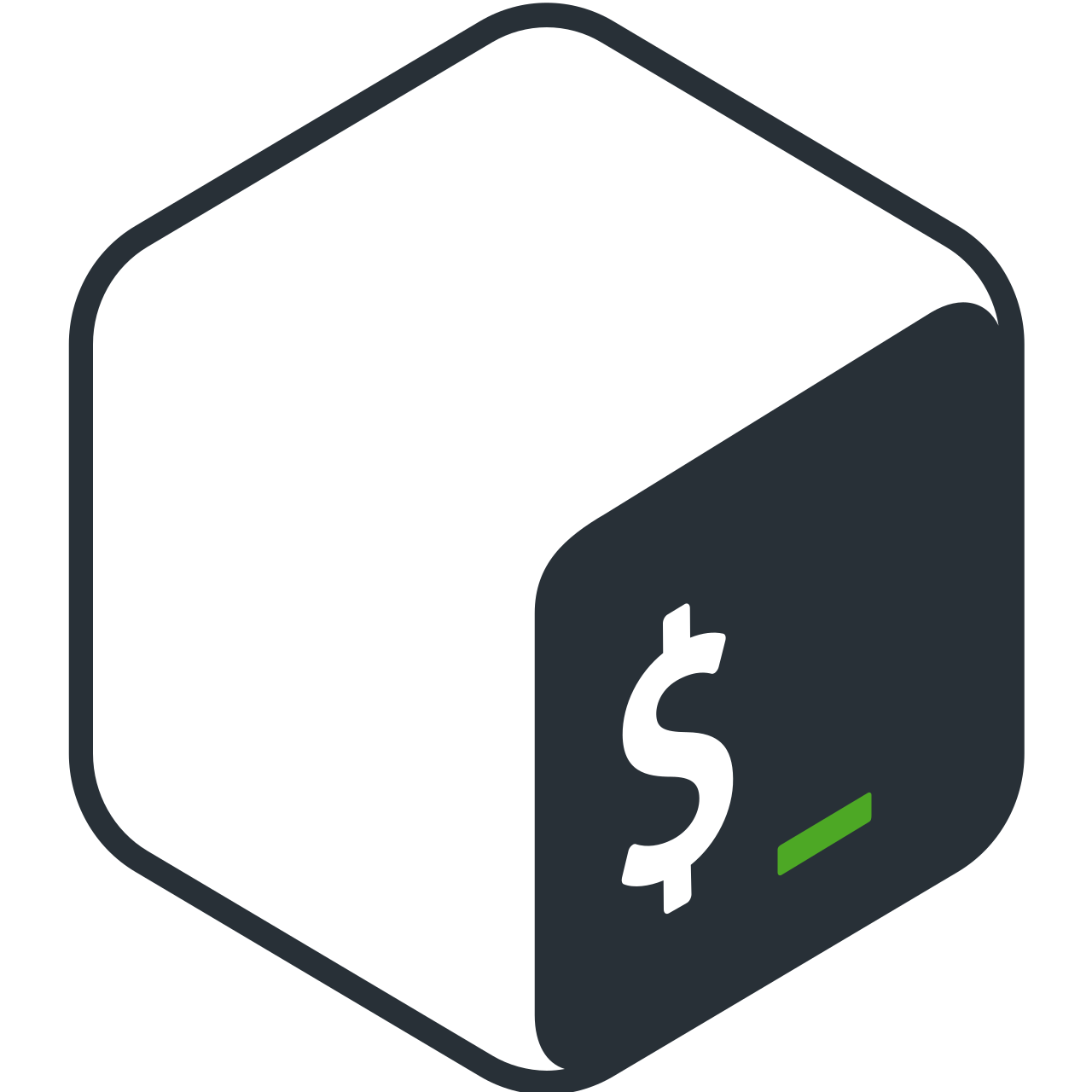Bash Scripting